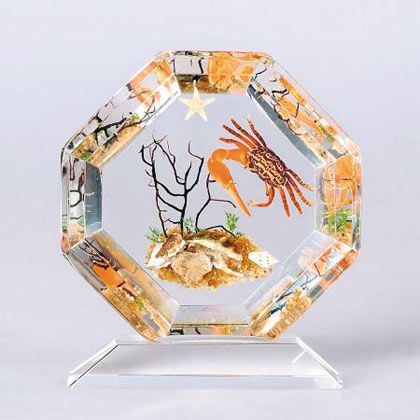 ����ֲ������