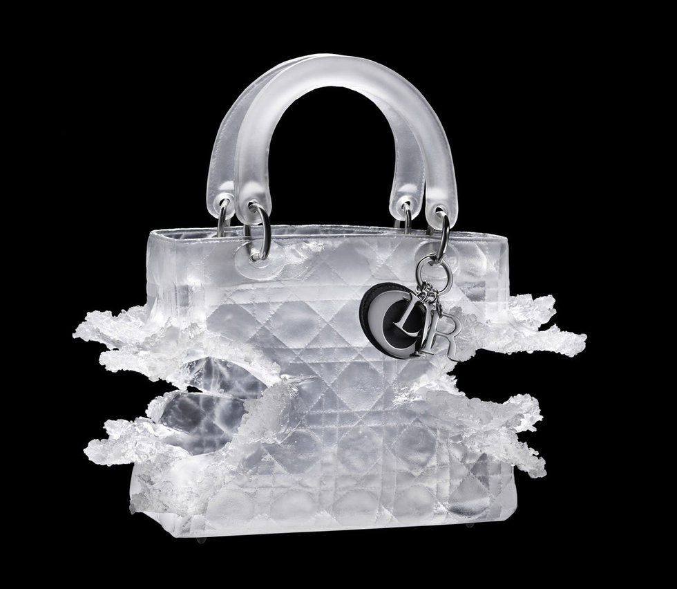 Lady Dior by Olympia Scarry