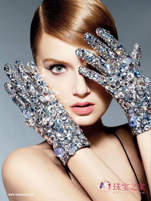 Swarovskiʩˮ2013ĹƬ