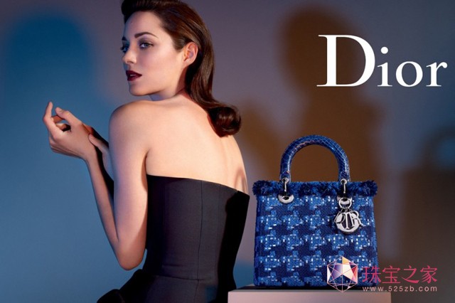 Lady Dior 2013 Ƭ